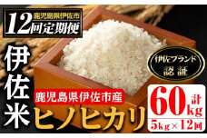 isa500 【定期便・全12回(連続)】伊佐米 ヒノヒカリ(計60kg・5kg×全12回) 鹿児島 国産 伊佐米 お米 米 こめ コメ ひのひかり 白米 精米 ごはん ご飯 定期便 新米【725】