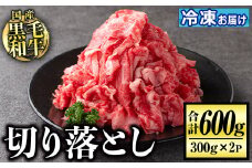 isa508 国産黒毛和牛 切り落とし(計600g・300g×2P) 国産 牛 牛肉 肉 BBQ 炒め物 冷凍 冷凍便 詰め合わせ【お肉の直売所 伊佐店】