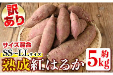 isa521 《訳あり》熟成紅はるか(約5kg・SS～LLサイズ混合) ふるさと納税 伊佐市 特産品 訳あり さつまいも 紅はるか 鹿児島 生芋 完熟 長期熟成 土付き べにはるか サツマイモ 焼き芋に【いさ工房】