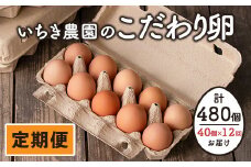 isa529 【定期便】いちき農園のこだわり卵(計480個・40個×12カ月)平飼い 鶏 たまご 卵 タマゴ 低コレステロール 抗生物質不使用 卵かけご飯 TKG 定期便【いちき農園】
