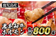 isa530 ≪毎月数量限定≫鹿児島産黒毛和牛ホルモン(合計800g・200g×4P) 国産 牛 和牛 小腸 小分け 真空パック もつ鍋 焼肉 煮込み BBQ バーベキュー アウトドア 冷凍 冷凍便【財宝】