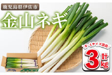isa534 〈2025年1月以降順次発送〉《期間限定》鹿児島県産金山ネギ(計3kg・S～Lサイズ混合) 鹿児島県 伊佐市 ネギ ねぎ 葱 金山ねぎ 薬味 野菜 トッピング 【西農園】