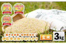 isa535 令和6年産 特別栽培米 永池ひのひかり玄米(3kg) 鹿児島 永池 お米 米 玄米 伊佐米 九州米サミット 食味コンテスト 最優秀賞受賞 ヒノヒカリ【エコファーム永池】
