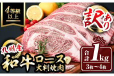 isa574 ＜訳あり＞九州産和牛ロース大判焼肉(合計1kg・3枚～4枚) 4等級以上国産 真空包装 真空パック リブロース ステーキ 牛 うし 牛肉 アウトドア BBQ 冷凍【サンキョーミート株式会社】