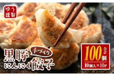 isa590 手づくり黒豚にんにく餃子(計100個・10個入り×10P) 鹿児島 手作り 生餃子 ギョウザ 黒豚 豚肉 冷凍食品 おかず おつまみ 惣菜 小分け 焼くだけ 簡単調理 冷凍便 【工房ゆう】