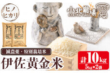 isa600 《数量限定》小北農場のお米 伊佐黄金米〈ヒノヒカリ〉(計10kg・5kg×2袋)鹿児島 伊佐 お米 特別栽培米 伊佐米 白米 ヒノヒカリ ひのひかり おにぎり ごはん【小北農場】