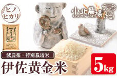 isa599 《数量限定》小北農場のお米 伊佐黄金米〈ヒノヒカリ〉(5kg)鹿児島 伊佐 お米 特別栽培米 伊佐米 白米 ヒノヒカリ ひのひかり おにぎり ごはん【小北農場】
