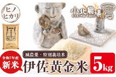 isa599 ＜先行予約受付中！2025年10月より順次発送＞《数量限定》令和7年産 小北農場の新米 伊佐黄金米〈ヒノヒカリ〉(5kg) 鹿児島 伊佐 新米 お米 特別栽培米 伊佐米 白米 ヒノヒカリ ひのひかり おにぎり ごはん 【小北農場】