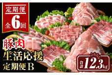 isa647 【定期便6回】豚肉生活応援定期便B(合計12.3kg) 国産 切り落とし バラスライス 肩ロース ロース しゃぶしゃぶ 生姜焼き 真空包装 真空パック 小分け ぶたにく 豚 肉 詰合せ 詰め合わせ 冷凍 【サンキョーミート株式会社】