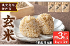 isa664 《毎月数量限定》あんしん玄米(約1kg×3袋・計約3kg) 米 玄米 お米 鹿児島県 伊佐市 健康 食物繊維 腸活 有機肥料 EM農法 【しげふみファーム】