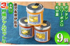 isa682 3種の柑橘ジャム食べ比べセットB(計9個・ボンタン、サワーポメロ、紅甘夏 各140g) 加工食品 果物 フルーツ 詰め合わせ 果肉 柑橘 低糖 ハンドメイド ジャム ギフト マーマレード 【薩摩美食倶楽部】