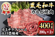 isa690 鹿児島県(カミチクファーム 大口農場)産 黒毛和牛カルビ焼肉(計400g・200g×2パック) 黒毛和牛 カルビ 焼肉 和牛 国産牛 高級肉 A5 ランク 雌牛 霜降り 旨味 口どけ 牛肉 焼肉用 BBQ バーベキュー アウトドア 冷凍 小分け 【お肉の直売所 伊佐店】
