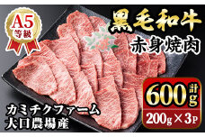 isa691 鹿児島県(カミチクファーム 大口農場)産 黒毛和牛赤身焼肉(計600g・200g×3パック) 黒毛和牛 赤身 焼肉 和牛 国産牛 高級肉 A5 ランク 雌牛 牛肉 焼肉用 BBQ バーベキュー アウトドア キャンプ  高タンパク 冷凍 小分け 【お肉の直売所 伊佐店】