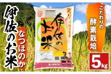 isa753 《数量限定》令和7年産 新米 伊佐のお米 なつほのか (5kg) 国産 米 白米 お米 ご飯 精米 薩摩の米蔵 伊佐米 なつほのか 酵素栽培 【猩々農園】