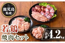 isa726 鹿児島県産 若鶏焼肉セット (合計4.2kg) 鹿児島県産 小分け 真空パック 鶏肉 鳥肉 もも肉 モモ肉 砂肝 肝 手羽中 肩肉 小肉 焼き肉 焼肉 セット 詰め合わせ 冷凍 【TRINITY】