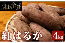 a174 ＜先行予約受付中！2025年12月中旬以降順次発送予定＞畑の金貨・紅はるか4kg(生芋)【甘いも販売所】姶良市 国産 さつま芋 サツマイモ べにはるか 貯蔵 熟成 蜜芋 蜜いも さつまいも