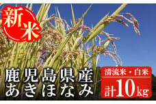 a348 《先行予約受付中！2024年11月中旬以降順次発送予定・数量限定》＜令和6年産＞鹿児島県産あきほなみ(清流米)(合計10kg・5kg×2袋)【上名地区むらづくり委員会】新米 お米 精米 白米 米 お米 こめ コメ