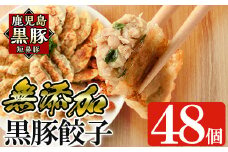 a441 鹿児島黒豚「短鼻豚」無添加餃子セット48個【鹿児島ますや】姶良市 ギョーザ 餃子 無添加 惣菜 おかず  おつまみ 冷凍 黒豚 国産野菜 ぎょうざ
