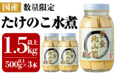 a531 《先行予約受付中！2025年6月以降順次発送予定》数量限定！黄金北山筍(大)500g以上×3本合計約1.5kg【北山校区コミュニティ協議会】姶良市 国産 たけのこ タケノコ 小分け 瓶詰め 水煮 野菜