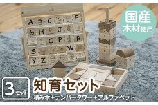 a546 姶良市産木材使用！IKONIH知育セット！【IKONIH FUKUOKA】 姶良市 ブロック 数字ブロック ナンバー タワー アルファベットカード 知育 玩具 遊び 木遊び おもちゃ 子ども 想像力　創造力 誕生日 木 木材