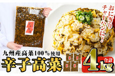 a568 九州産辛子高菜セット4kg(1kg×4パック)【九州新進】姶良市 国産 九州産 たかな 漬物 漬け物 ご飯のお供 おかず おつまみ おにぎり 常温 常温保存
