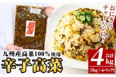 a568-B 九州産辛子高菜4kg(1kg×4パック)【九州新進】姶良市 国産 九州産 たかな 漬物 漬け物 ご飯のお供 おかず おつまみ おにぎり 常温 常温保存