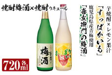 a704 芋焼酎リキュール×焼酎梅酒飲み比べ！すっぱかいも＆喜左衞門の梅酒セット(各720ml×2本)【南国リカー】 姶良市 酒 芋焼酎 焼酎 梅酒 炭酸割 リキュール レモン 檸檬 飲み比べ セット