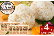 a713 数量限定！姶良市産はだか麦(計4kg・400g×10個)【竹之内穀類産業】 姶良市 国産 姶良市 ご飯 麦ごはん はだか麦 穀物 食物繊維 小分け