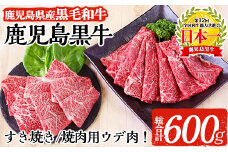 a718 【数量限定・期間限定】M2101 鹿児島黒牛ウデスライス・焼肉セット合計600g＜M-2101＞【あいら農業協同組合】