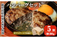 a750 鹿児島県産黒毛和牛ハンバーグセット(200g×5パック)【AKR Food Company】姶良市 国産 牛肉100% 冷凍 小分け