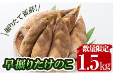 a806 ＜先行予約受付中！2025年12月下旬～2026年2月末の間に発送予定＞数量限定！早堀り筍(正味約1.5kg)【夢竺山株式会社】国産 早堀り たけのこ タケノコ 筍 竹の子