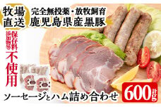 a829 月ノ灯牧場直送！保存料・添加物等不使用の鹿児島県産黒豚ソーセージとハム詰め合わせ合計600g(ソーセージ200g×2p・ハム100g×2p)【pig village company】 姶良市 国産 豚肉 鹿児島黒豚 ハム ソーセージ セット
