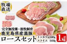 a830 《数量限定》月ノ灯牧場直送！完全無投薬・放牧の鹿児島県産黒豚ロースセット合計1kg(トンカツ用500g・スライス500g)【pig village company】 姶良市 冷凍 とんかつ 豚カツ ロース カツ 豚ロース 生姜焼き 放牧飼育 セット