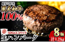 a841 鹿児島県産黒毛和牛100％生ハンバーグ（150g×8個）【水迫畜産】姶良市 国産 鹿児島県産 肉 牛肉 和牛 牛 総菜 冷凍ハンバーグ ハンバーグ おかず 焼くだけ 簡単 冷凍 個包装 小分け 一人暮らし 牛100%