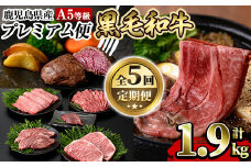 a837 《期間限定・数量限定》定期便全5回！鹿児島県産黒毛和牛A5等級「プレミアム便」ヒレ(100g)、ランプ(120g×2枚)、サーロイン(180g×2枚)のステーキ肉やすき焼き用肩ロース(400g)・焼肉用のミックス(400g)・しゃぶしゃぶ用のモモ(400g)【水迫畜産】姶良市 牛肉 すき焼き肉 すき焼き用牛肉 焼き肉 肉定期便