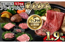 a837 《期間限定・数量限定》定期便全5回！鹿児島県産黒毛和牛A5等級「プレミアム便」ヒレ(100g)、ランプ(120g×2枚)、サーロイン(180g×2枚)のステーキ肉やすき焼き用肩ロース(400g)・焼肉用のミックス(400g)・しゃぶしゃぶ用のモモ(400g)【水迫畜産】姶良市 牛肉 すき焼き肉 すき焼き用牛肉 焼き肉 肉定期便