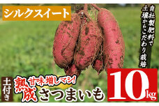 a845-B 鹿児島県産さつまいもシルクスイート土付き10kg(生芋)【コウエイ環境】姶良市 鹿児島県産 さつまいも サツマイモ 熟成芋 さつま芋 シルクスイート 10kg 生芋