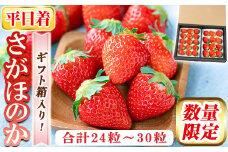 a881-01 【平日着】＜先行予約受付中！2026年2月上旬～3月下旬に発送予定＞ いちご・さがほのか(合計24粒～30粒)【佳農園】国産 鹿児島県産 苺 イチゴ フルーツ 果物 くだもの ギフト 贈答用