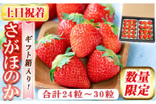 a881-02 【土日祝着】＜先行予約受付中！2026年2月上旬～3月下旬に発送予定＞ いちご・さがほのか(合計24粒～30粒)【佳農園】国産 鹿児島県産 苺 イチゴ フルーツ 果物 くだもの ギフト 贈答用