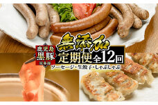 a888 《定期便全12回》鹿児島黒豚「短鼻豚」無添加ソーセージ＆生餃子＆しゃぶしゃぶ【鹿児島ますや】姶良市 豚肉 黒豚 無添加 ウィンナー ソーセージセット ウインナーソーセージ 豚しゃぶ 餃子 ぎょうざ ギョーザ おかず