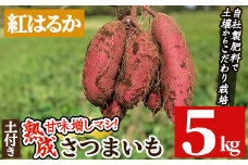 a845-C 《期間限定・数量限定》鹿児島県産さつまいも紅はるか土付き5kg(生芋)【コウエイ環境】姶良市 鹿児島県産 さつまいも サツマイモ 熟成芋 さつま芋 紅はるか 5kg 生芋