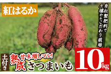 a845-D 《期間限定・数量限定》鹿児島県産さつまいも紅はるか土付き10kg(生芋)【コウエイ環境】姶良市 鹿児島県産 さつまいも サツマイモ 熟成芋 さつま芋 紅はるか 10kg 生芋