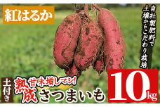 a845-D 《期間限定・数量限定》鹿児島県産さつまいも紅はるか土付き10kg(生芋)【コウエイ環境】姶良市 鹿児島県産 さつまいも サツマイモ 熟成芋 さつま芋 紅はるか 10kg 生芋