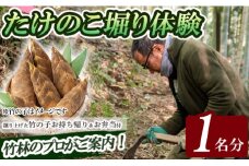 a931 ＜期間限定！2025年3月上旬～4月中旬まで体験分＞竹の子堀り体験(1名様：昼食・タケノコ5kgお持ち帰り付)【夢竺山】姶良市 たけのこ タケノコ 筍 竹の子 体験