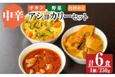 a975-B 《中辛》アショカリー6食セット(チキン2個・野菜2個・たけのこ2個)【スリランカかごしま】姶良市 レトルト レトルトカレー スパイスカレー スパイス スパイシー チキン 野菜 たけのこ 温めるだけ 簡単 常温