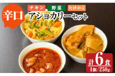 a975-C 《辛口》アショカリー6食セット(チキン2個・野菜2個・たけのこ2個)【スリランカかごしま】姶良市 レトルト レトルトカレー スパイスカレー スパイス スパイシー チキン 野菜 たけのこ 温めるだけ 簡単 常温