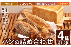 a986 パンの詰め合わせ(4種・合計5個)【Bakery Panto】姶良市 パン 冷凍パン 食パン クロワッサン 栗 カンパーニュ バケット 冷凍 セット