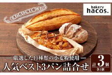 a985-A ハコスの人気ベスト3パン詰合せセット(各1個・計3個)【bakery hacos】姶良市 パン 冷凍パン 詰め合わせ 惣菜パン 菓子パン パイ アップルパイ めんたいフランス クランベリーチーズ