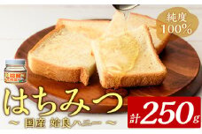 a1002-A 《期間限定！》姶良ハニー(250g)【原電設工業】 姶良市 国産 ハチミツ はちみつ 蜂蜜 百花蜜 蜜 常温 常温保存