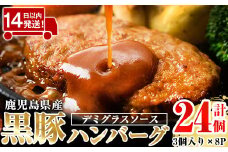 a1003 鹿児島県産黒豚ハンバーグ 計24個 (210g(3個入り)×8パック)【AKR Food Company】姶良市 ハンバーグ デミグラスソース デミソース 国産 鹿児島県産 肉 豚 豚肉 かごしま黒豚さつま お弁当 惣菜 総菜 冷凍ハンバーグ おかず 温めるだけ 湯煎 簡単 冷凍 小分け